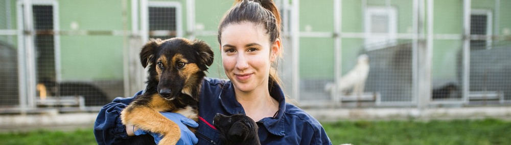 Frau mit zwei Hunden vor Tierheimkäfigen